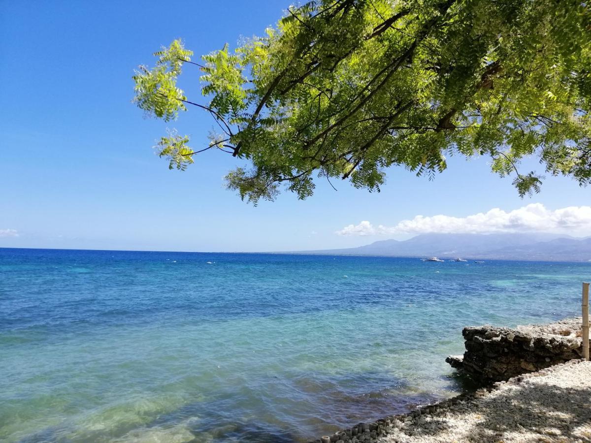 Southseas Beach Resort And Dive Center ซานตานเดร์ ภายนอก รูปภาพ
